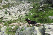 IMG_0628
