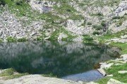 IMG_0636