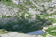 IMG_0637