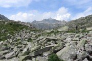IMG_0665