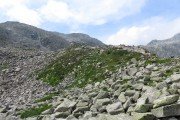 IMG_0667