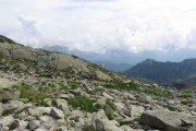 IMG_0684