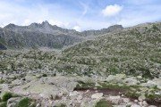 IMG_0705
