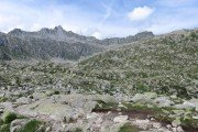 IMG_0706