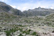 IMG_0707