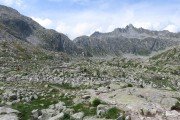 IMG_0708