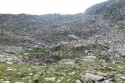 IMG_0715