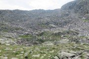 IMG_0717