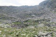 IMG_0718
