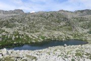 IMG_0722