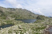 IMG_0724