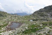IMG_0725