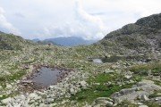 IMG_0726