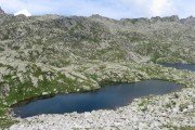 IMG_0729