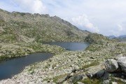 IMG_0731