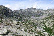 IMG_0733