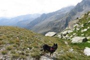 IMG_0780