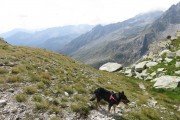 IMG_0781