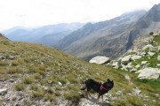 IMG_0782