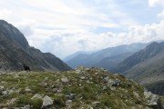 IMG_0783