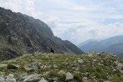 IMG_0784