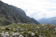 IMG_0786