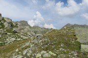 IMG_0790