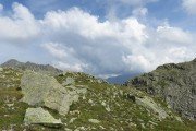 IMG_0791