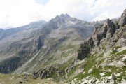 IMG_0802