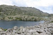 IMG_0821