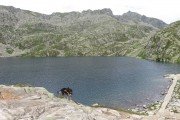 IMG_0835