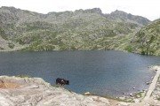 IMG_0836