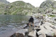 IMG_0840