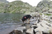 IMG_0841