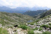 IMG_0846