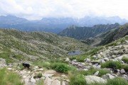 IMG_0847