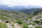IMG_0848