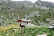 IMG_0875