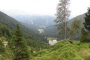 IMG_0877