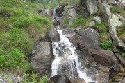 IMG_0879