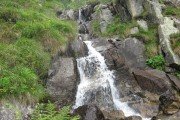 IMG_0880
