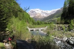 IMG_0015