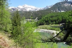 IMG_0019