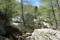 IMG_0031