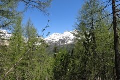 IMG_0033