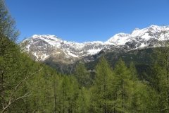 IMG_0036