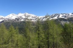 IMG_0037