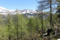 IMG_0040