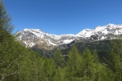 IMG_0042