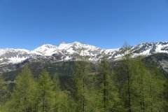IMG_0043